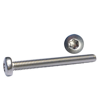 Maskinskruv kullrigt huvud Torx-spår 6x20 A4 ISO14583 10st.